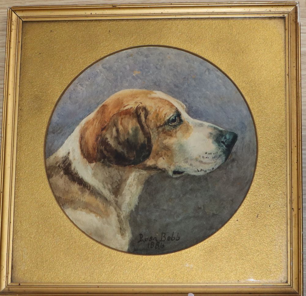 Minnie Rosa Bebb (1857-1938), portrait of a foxhound, watercolour, signed and dated 1886, framed tondo, Dia 22cm